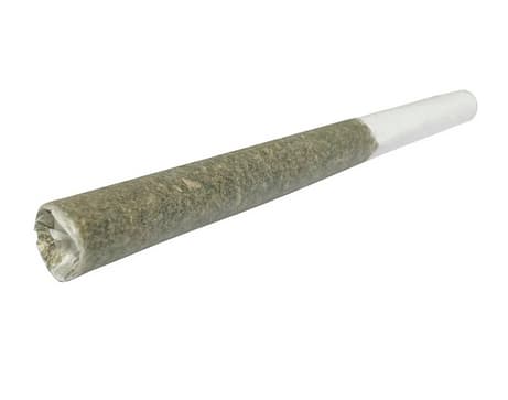 1SPLIFF - Cannon Js