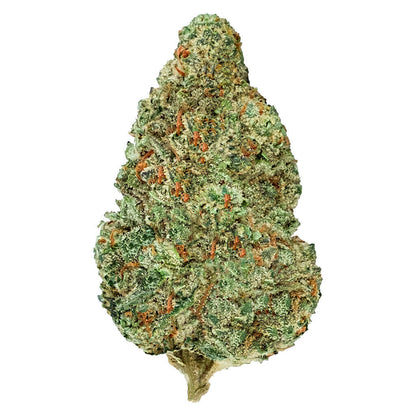 Back Forty - Chemzilla