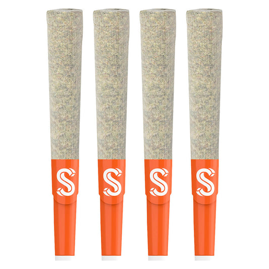 Sherbinskis - True GLTO 33 Double Infused Js