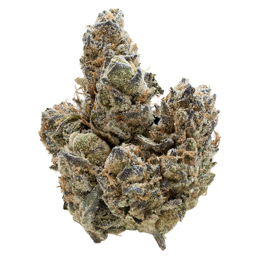 Nugz - Florida Oranges