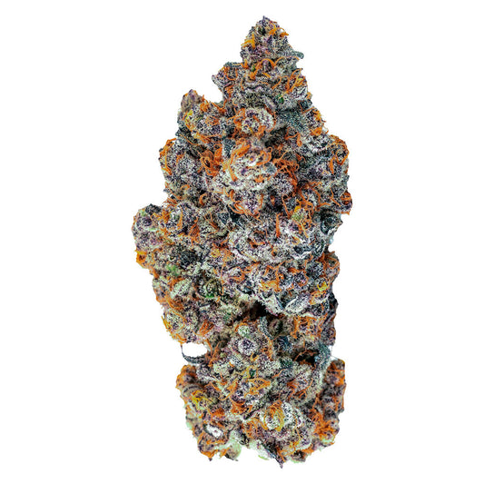 Tenzo - Espresso Gelato -  Dried Flower