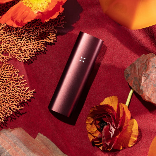 PAX 3 Complete - Burgundy