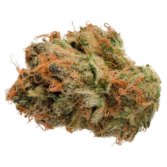 Jonny Chronic - Tropicanna