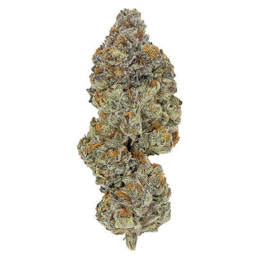 Pistol and Paris - LSO Collection: Blueberry Vendetta