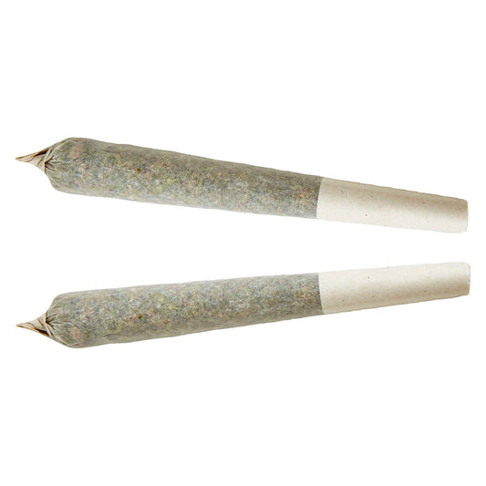 XPLOR - Sativa Pre-roll