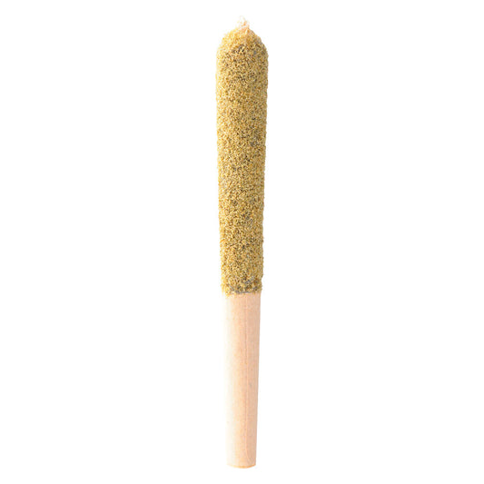Tenzo - Pineapple ZKTLZ Double Hash Infused Js