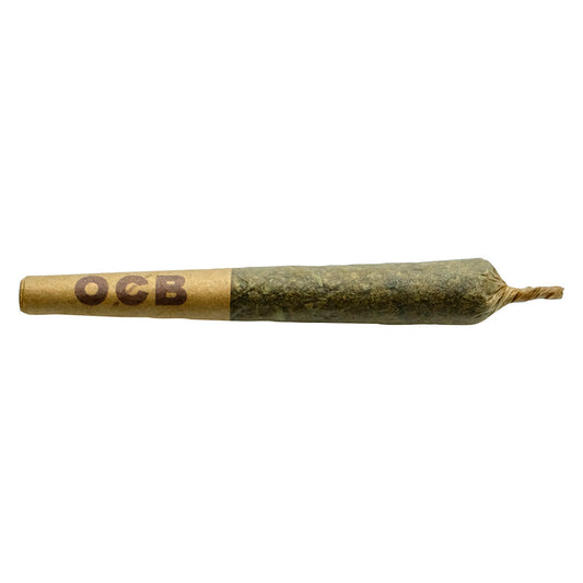 Coterie - Permanent Marker Js