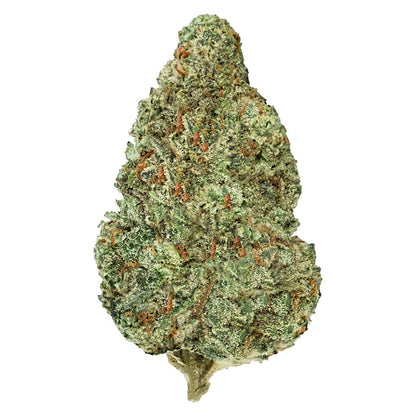 Back Forty - Chemzilla