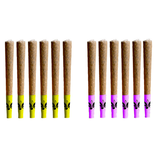 High Note - Day & Night Mixed Pack