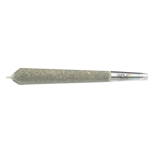 1Spliff - Quantum Kush Premium Glass Tip Pre-Roll