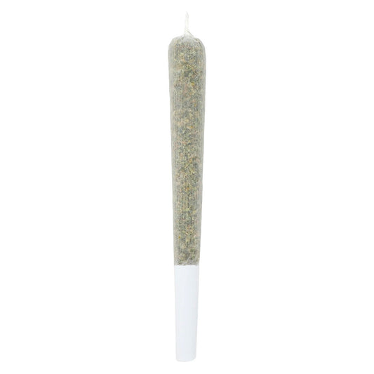 Lamplighter - Tiger Berry Infused Pre-Roll