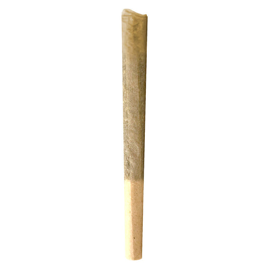 MTL - Dante'z Inferno Pre-roll