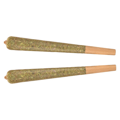Fuego - Galactic Fire Sativa Js