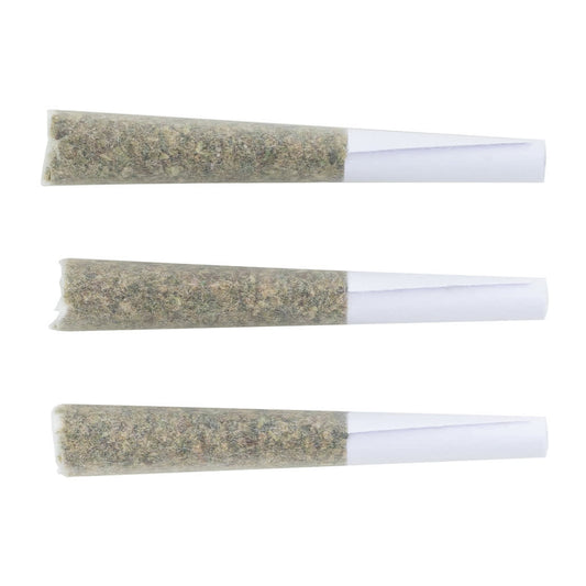 The Loud Plug - Bubble Hash Infused Js