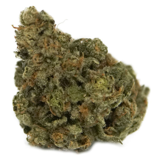 The Loud Plug - Exotic Gas