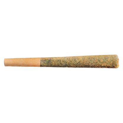 Fuego - Sunny Daze Sativa Js