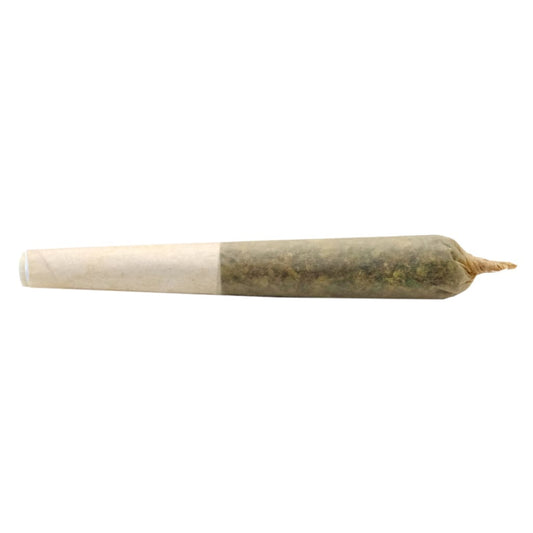 Buddy Blooms - Lil Buddy Sativa J