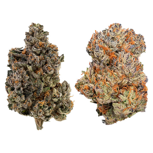 Ghost Drops - Trap Pack 7