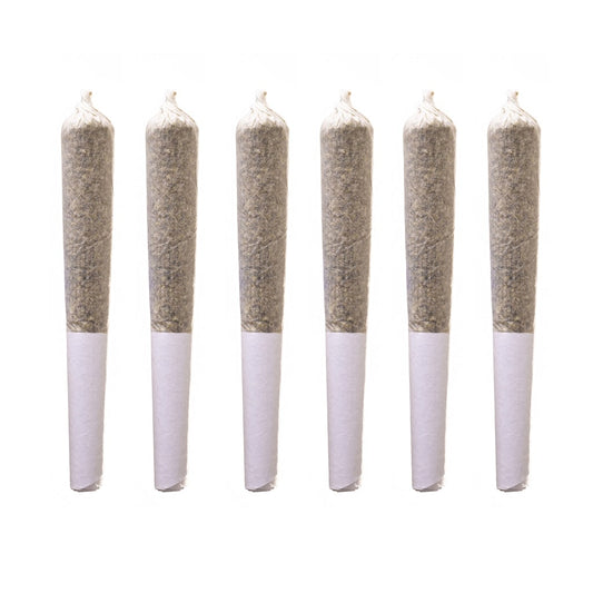 Station House - Holiday Variety Pack Js