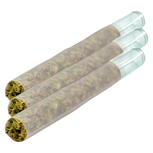 Puffer's Paradise - Magik Dragon Glass Tip Js