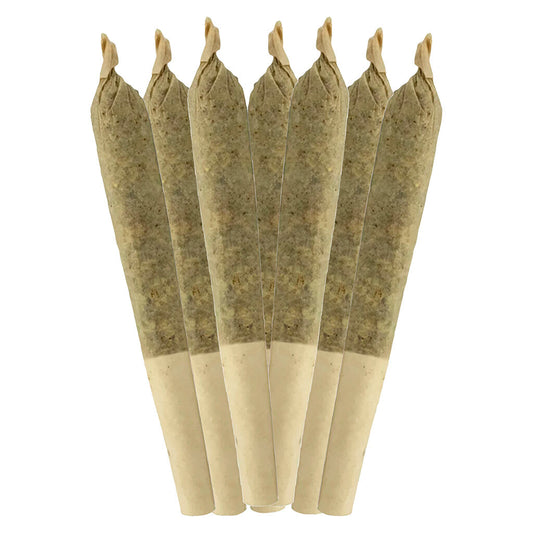 Sheeesh! - Jungle Kush Js