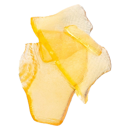 The Loud Plug - LA Inferno Shatter