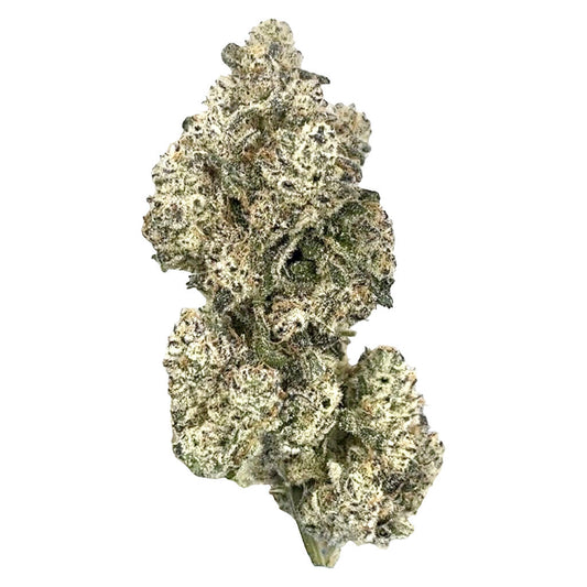 HighXotic - Royal Dive #5: Purple Zombie